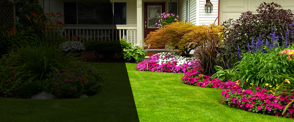 Alpine Landscapers