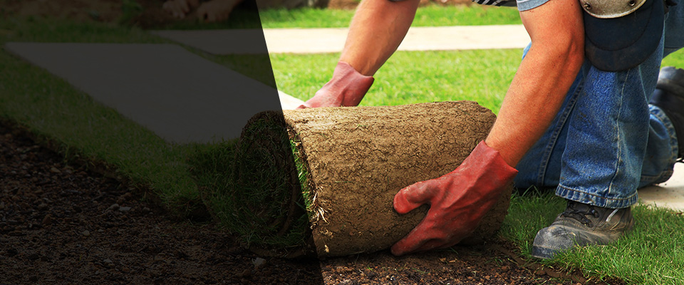 Alpine Landscapers